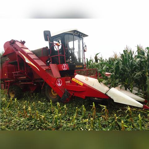 沈阳万全相关长尾关键词有哪些