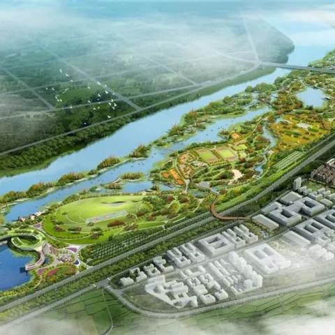 西安交大创新港小学入学条件？