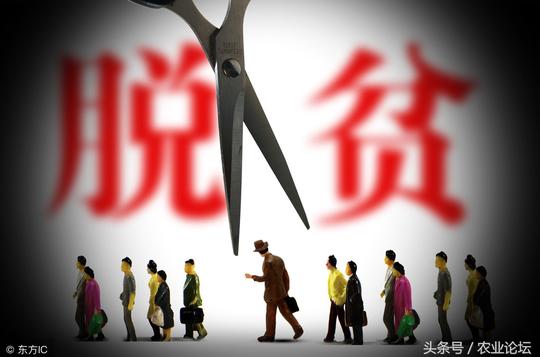 农村贫困户怎么获得创业资金？脱贫后的贫困户能哪些优惠政策呢？