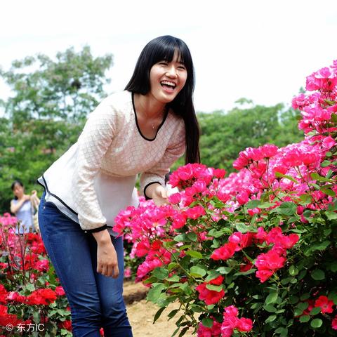 成都市内办老年证在哪里