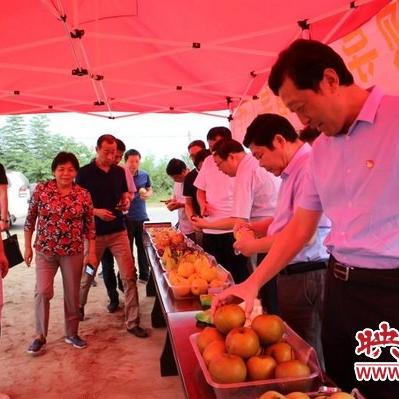 河南省护林员的相关长尾关键词有哪些