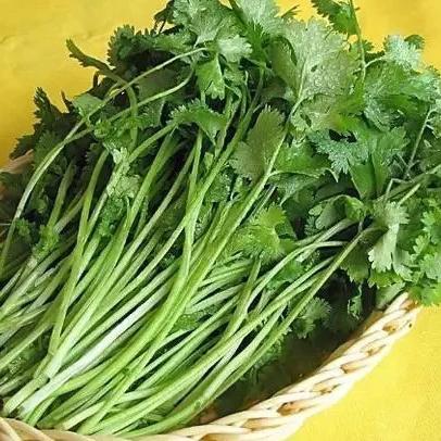 火箭是什么天气发射的