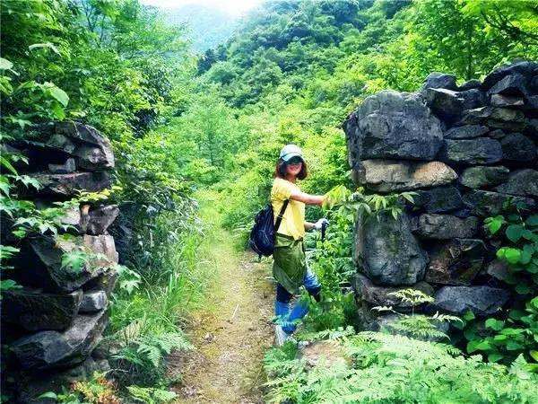 浙江大学排行榜及录取分数线：谁领风骚，谁需努力？