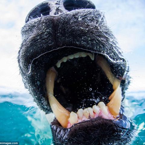 单人游戏（单人游戏，孤独的探险与挑战）