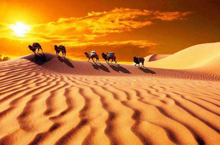 【内蒙古第一大城市
 /内蒙古第一大城市是哪里】