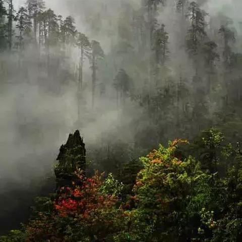 跨境亚马逊电商名录查询的相关长尾关键词是那些 跨境亚马逊电商名录查询的相关长尾关键词是那些