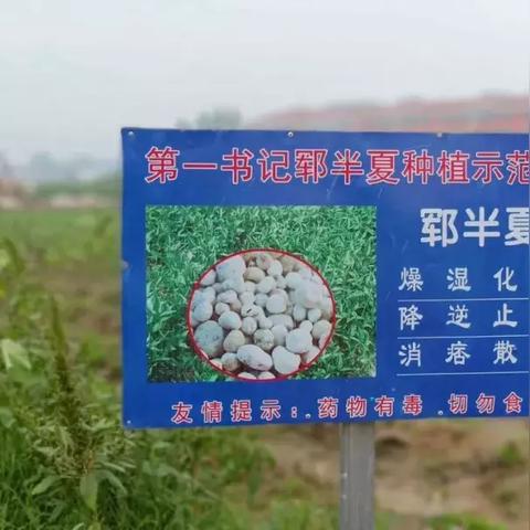 2025.12.14菏泽今日气温变化情况