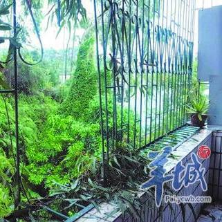 东莞市辅警怎么培训的