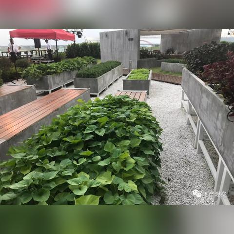 长沙游泳馆恒温相关长尾关键词有哪些