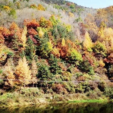 兰州市北滨河路是哪个区