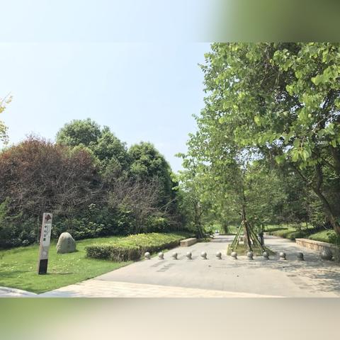 成都市超级大平层楼盘有哪些