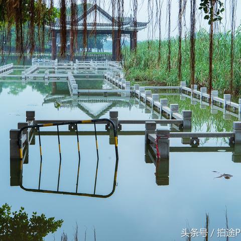 明天东莞什么时候下雨