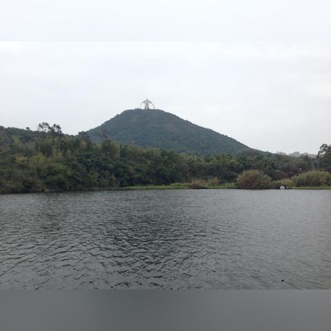 深圳市茶溪谷在什么地方