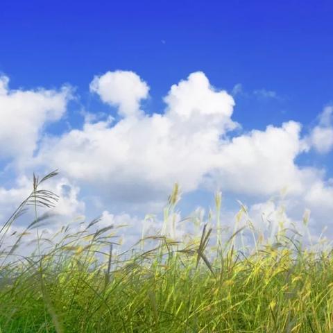 临沂市哪个县都是矿山