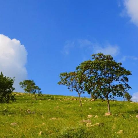 临沂市哪里有瀑布