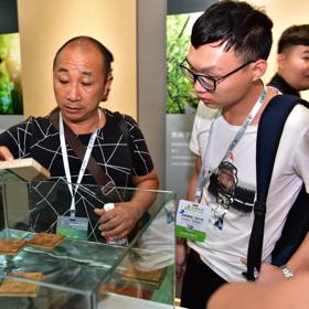 临沂市生态板批发的长尾关键词有什么