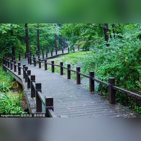 兰州植物园可以野餐吗？