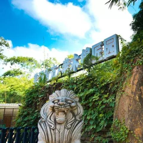 南宁二十中招聘的相关长尾关键词有哪些