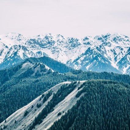 西安市柳园小区怎么样