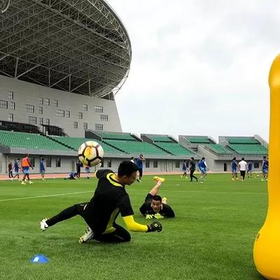 足球场的草多少钱