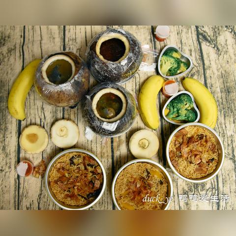 椰子蟹福建能养吗？