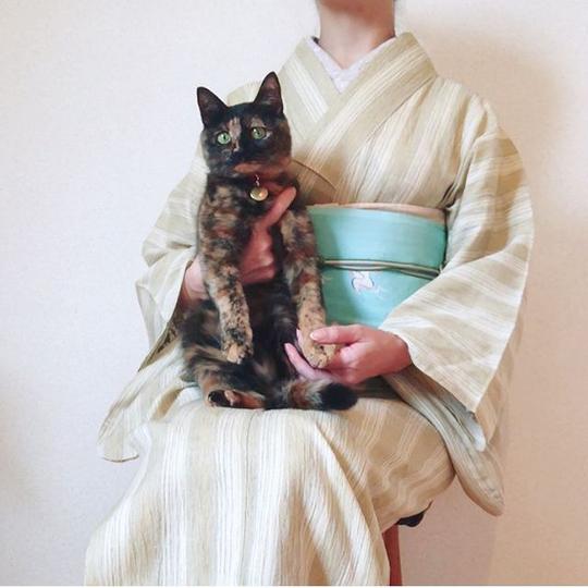仙气逼人！ins上这个日本妹子，用和服与猫的日常重现江户时代的性感