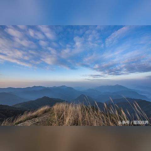 广州市海拔为多少米？