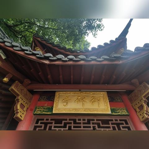 八字也能看出孩子未来？家长必看的命理指南