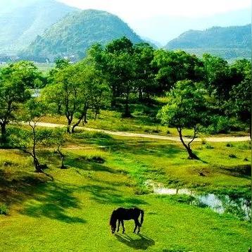 桂林市哪个县富
