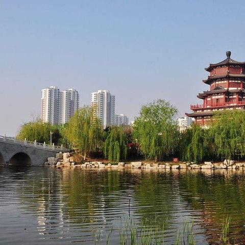 24年临沂市人口的长尾关键词有什么