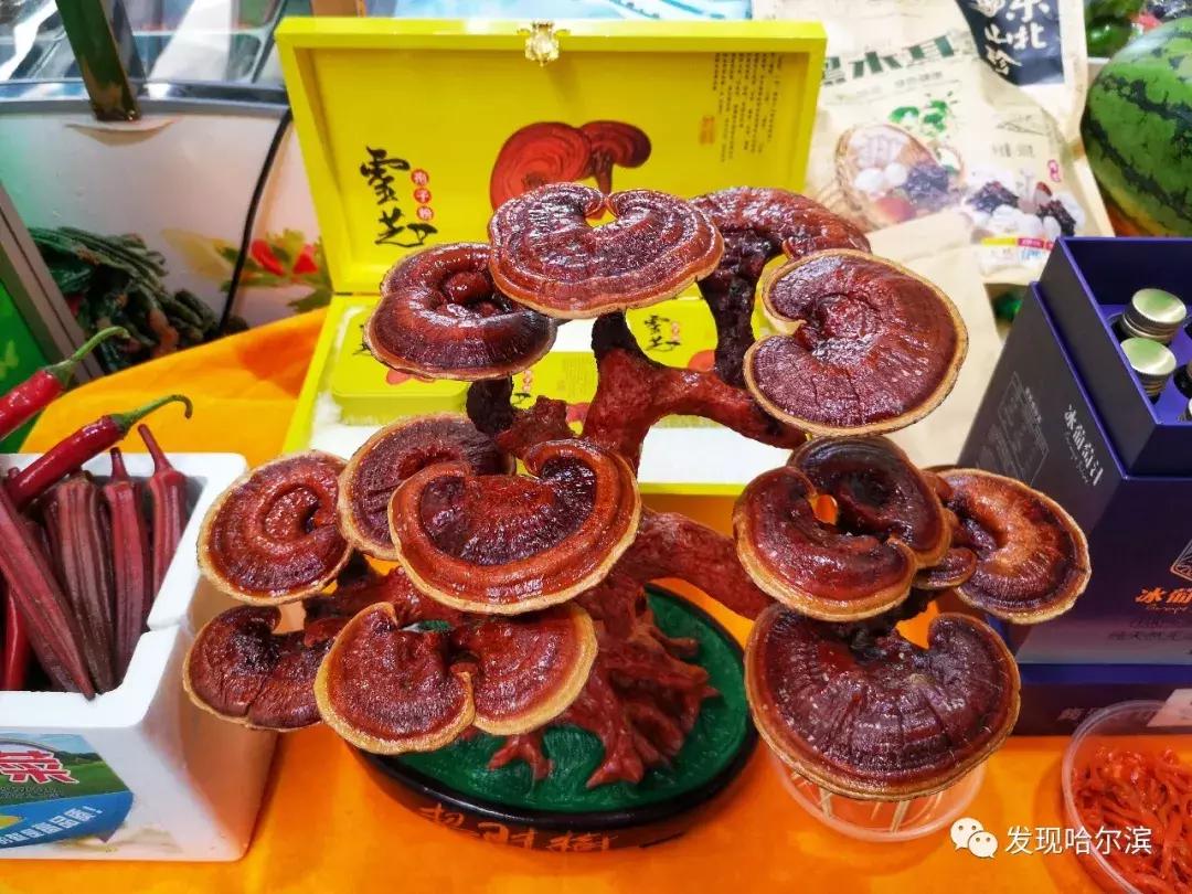 齐市美食都有什么（齐齐哈尔有哪些当地小吃）