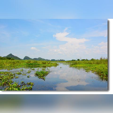 桂林市会仙有什么景区