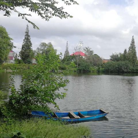 南通落水老太照片长尾关键词有什么