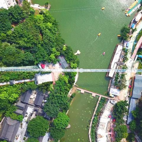 东莞市退休证怎么领取