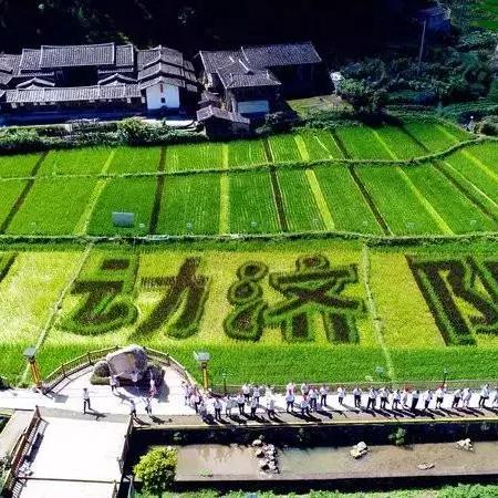 福建哪个草原最大