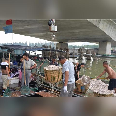 苏州八都天气预报的长尾关键词有什么