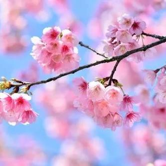 福建都有哪个市哪个区县