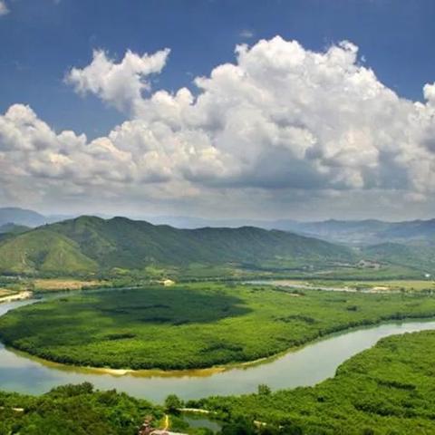 广州附近哪里有农场可以租地种菜？