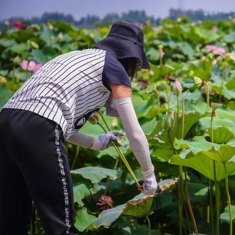天津西湖村怎么样