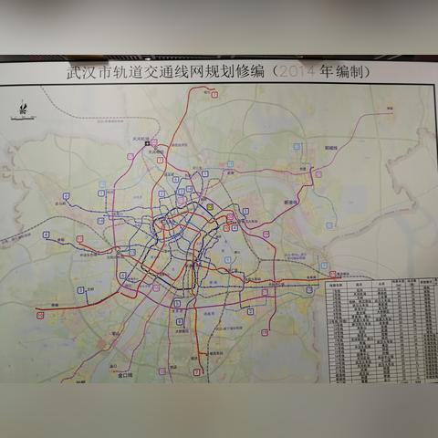 武汉市哪个专家提出来的