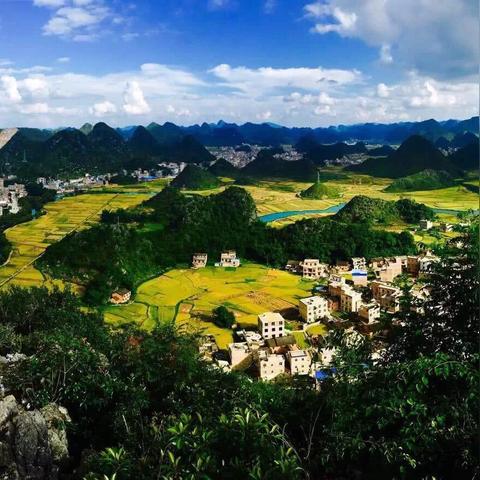 桂林市哪里的牛八宝好吃