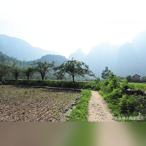 河南高平市属于哪个市