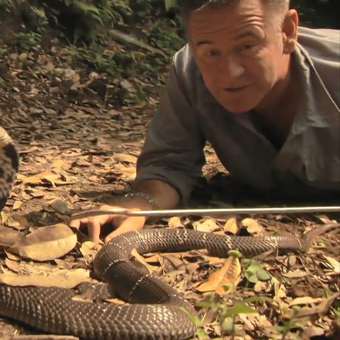 做什么运动可以瘦后背的长尾关键词有什么