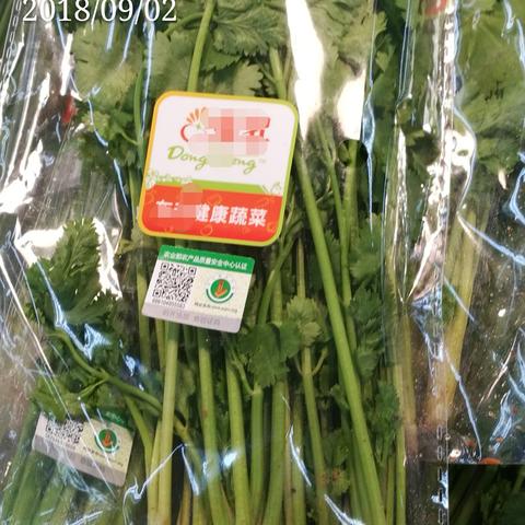 【深圳今日菜价】2025年6月2日深圳菜价是多少