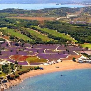 大连开发区高尔夫球场的长尾关键词有什么