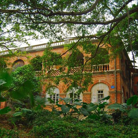 鼓浪屿旅游要多少钱(鼓浪屿景点费用)