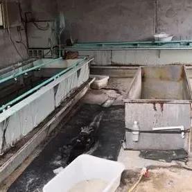 临沂市镀锌厂工资的长尾关键词有哪些