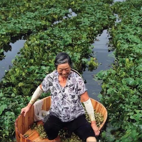 2025.12.14南通今天空气质量指数怎么样