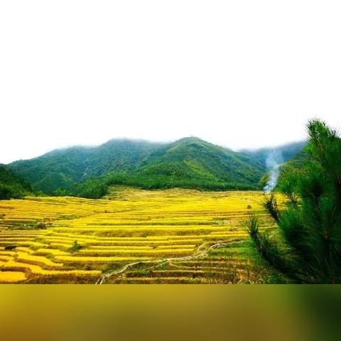 清远小桂林在哪里相关长尾关键词有哪些