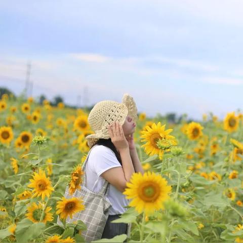 成都市哪里办免费乘车卡